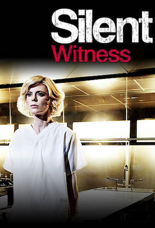 silent witness season 24 on britbox